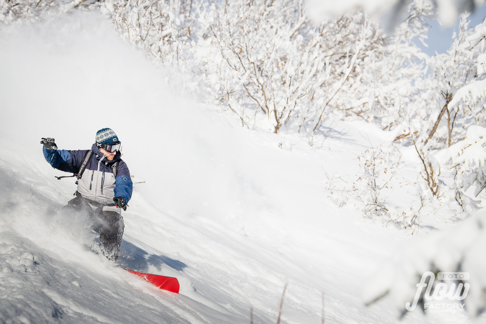 Powder day 2019 | flowfactory.ch - Food | Grow (Visu) | Photo